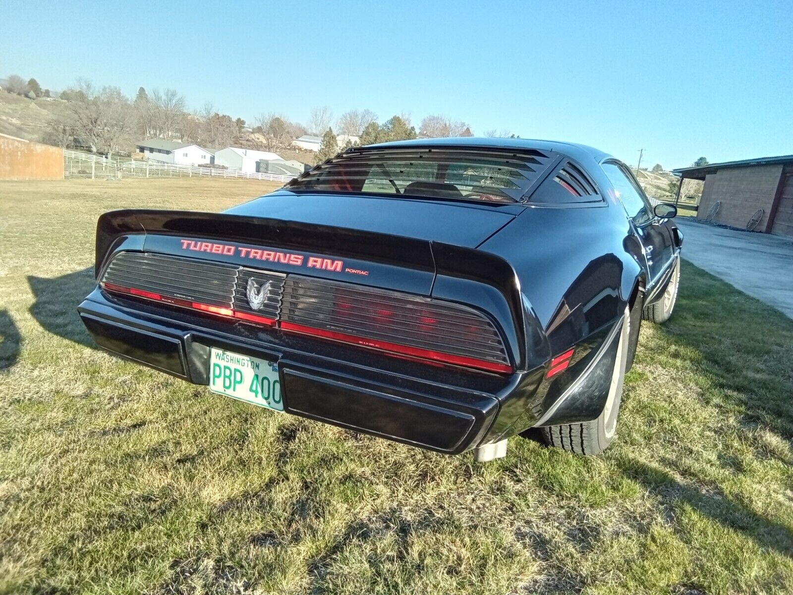 Pontiac-Trans-Am-Coupe-1980-Black-Red-34759-12