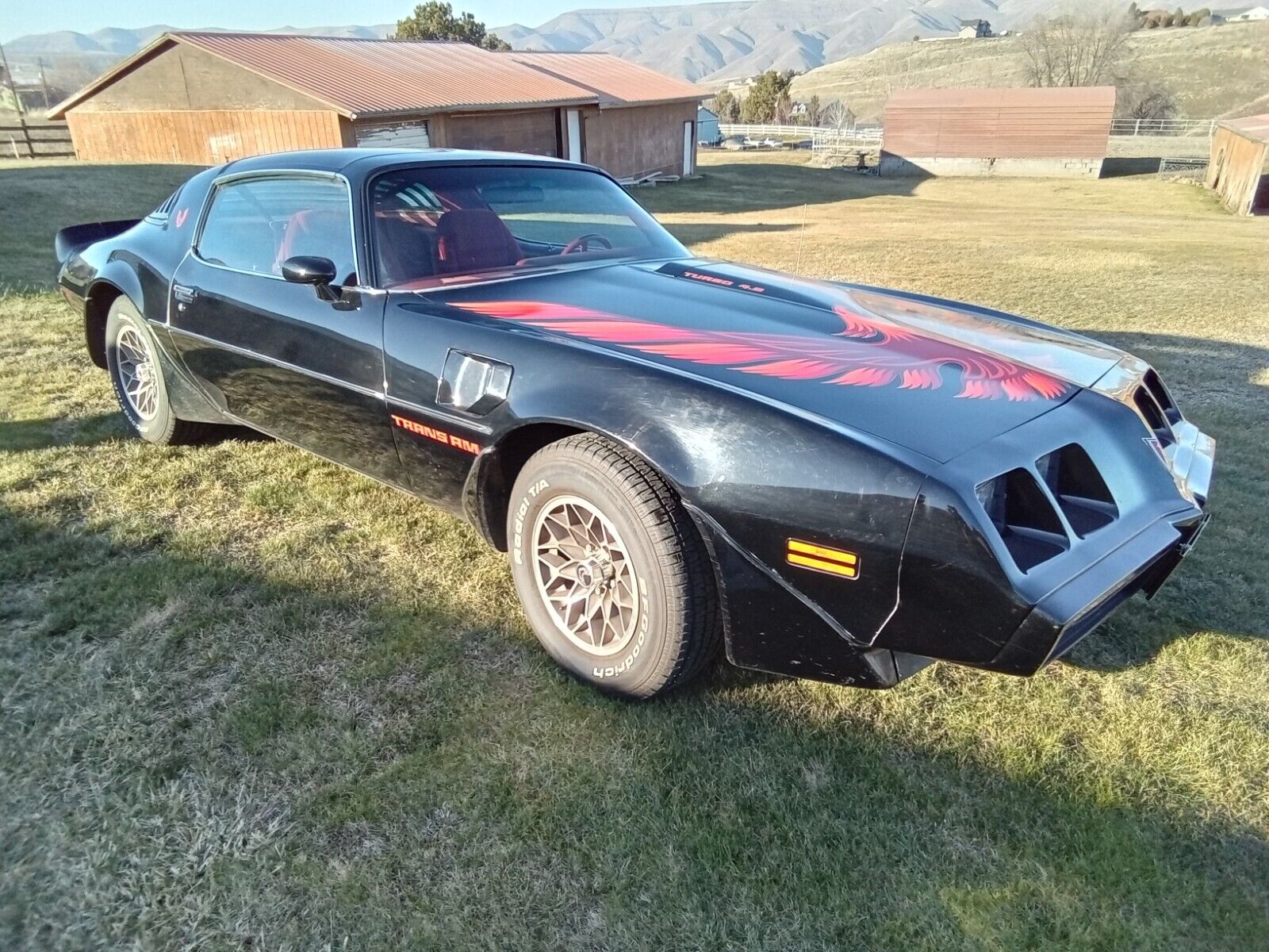 Pontiac-Trans-Am-Coupe-1980-Black-Red-34759-22