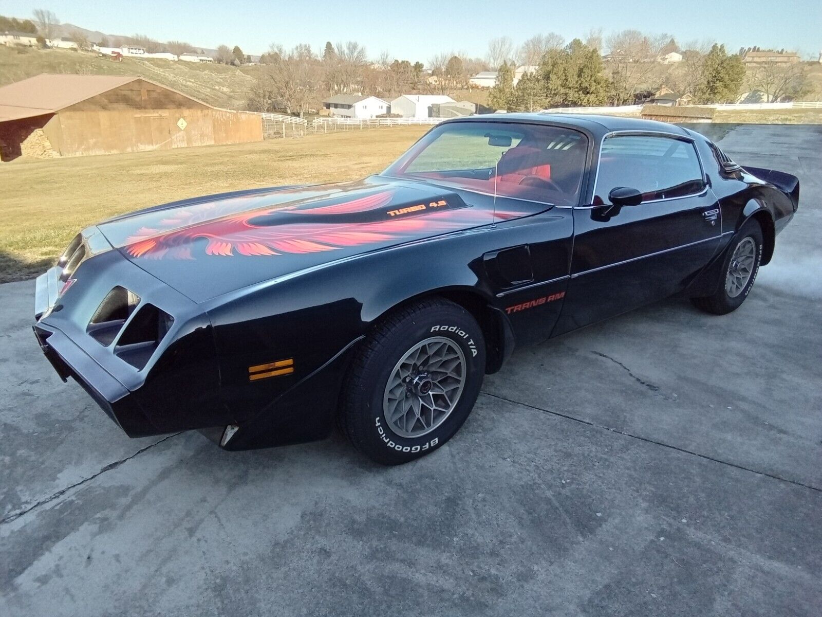 Pontiac Trans Am Coupe 1980 à vendre