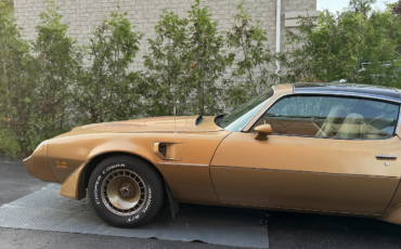 Pontiac-Trans-Am-Coupe-1981-80467-1