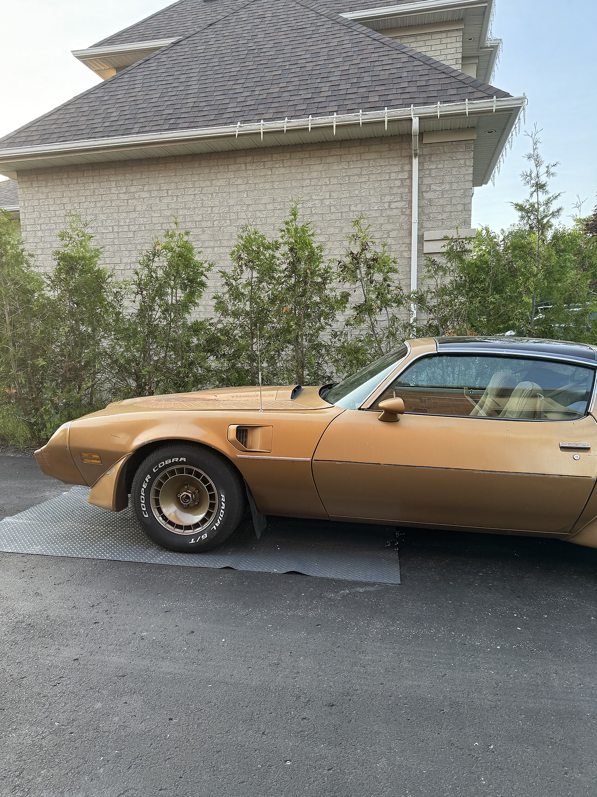 Pontiac-Trans-Am-Coupe-1981-80467-1