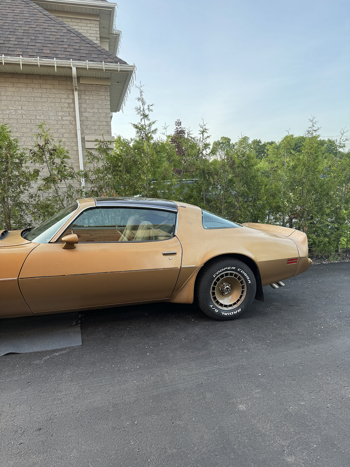 Pontiac-Trans-Am-Coupe-1981-80467-2