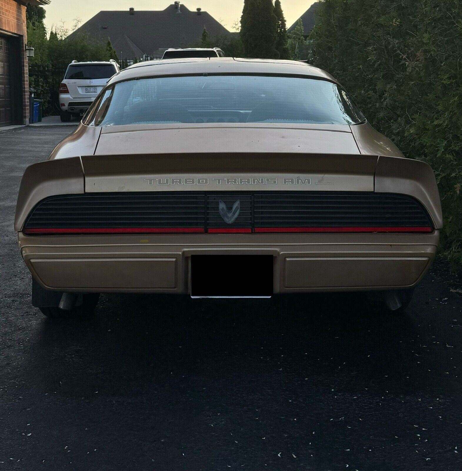 Pontiac-Trans-Am-Coupe-1981-80467-3