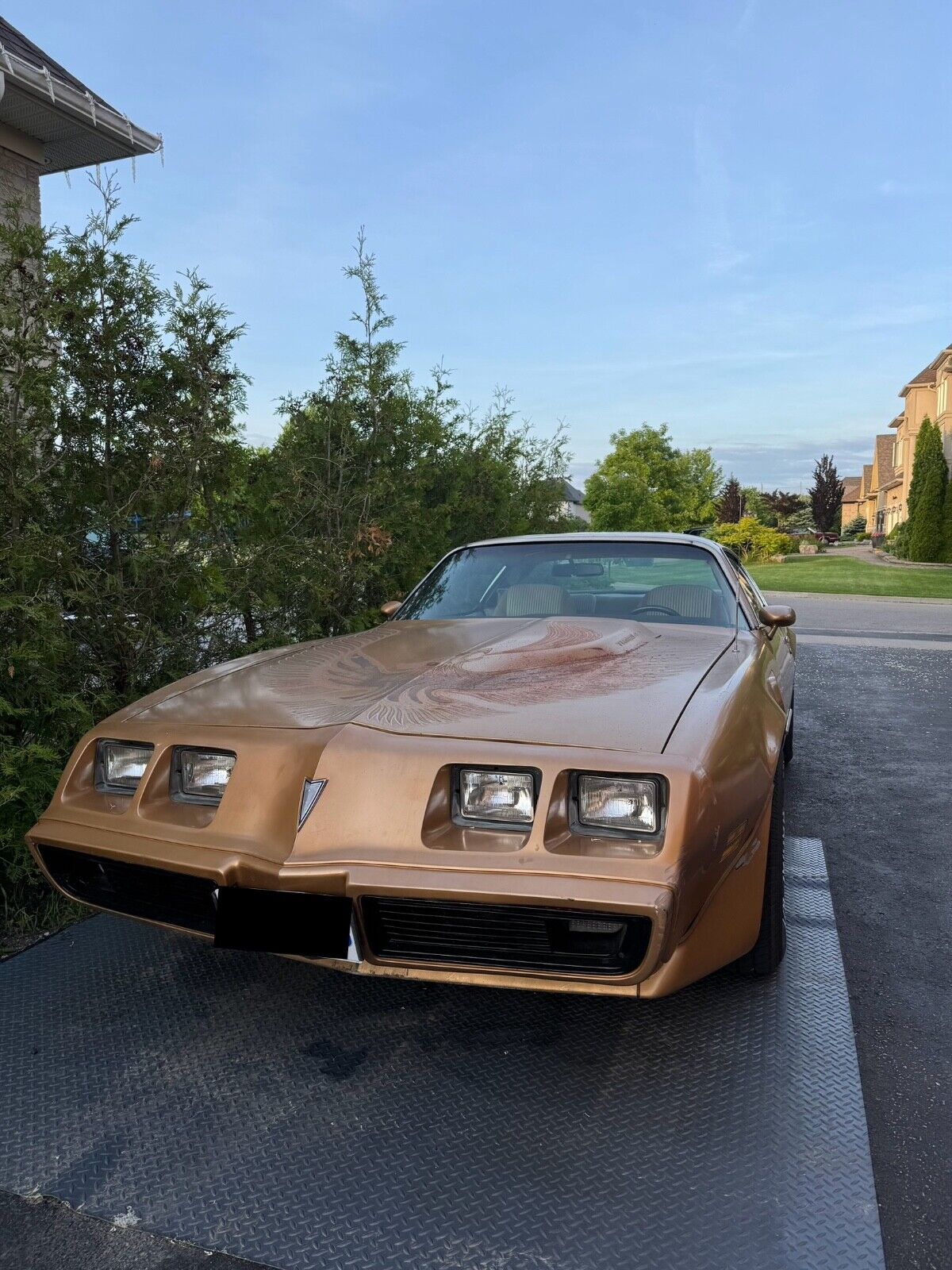 Pontiac Trans Am Coupe 1981 à vendre