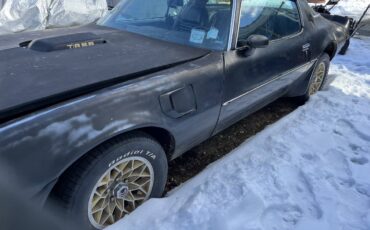 Pontiac-Trans-am-1979-black-198683-5