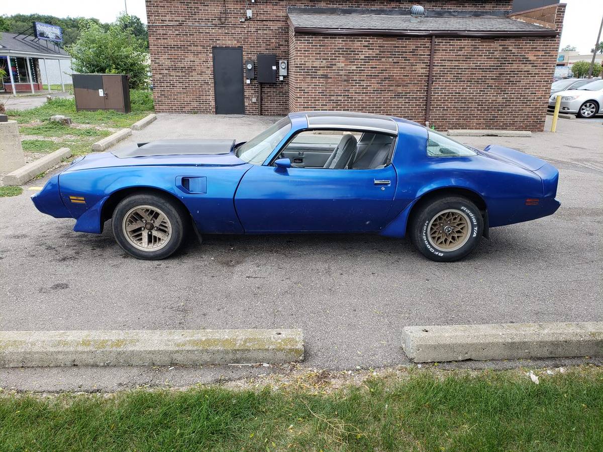 Pontiac-Trans-am-1979-blue-127138-3