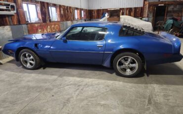 Pontiac-Trans-am-1981-blue-148059-10