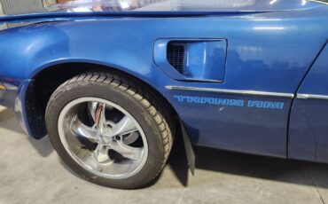 Pontiac-Trans-am-1981-blue-148059-8