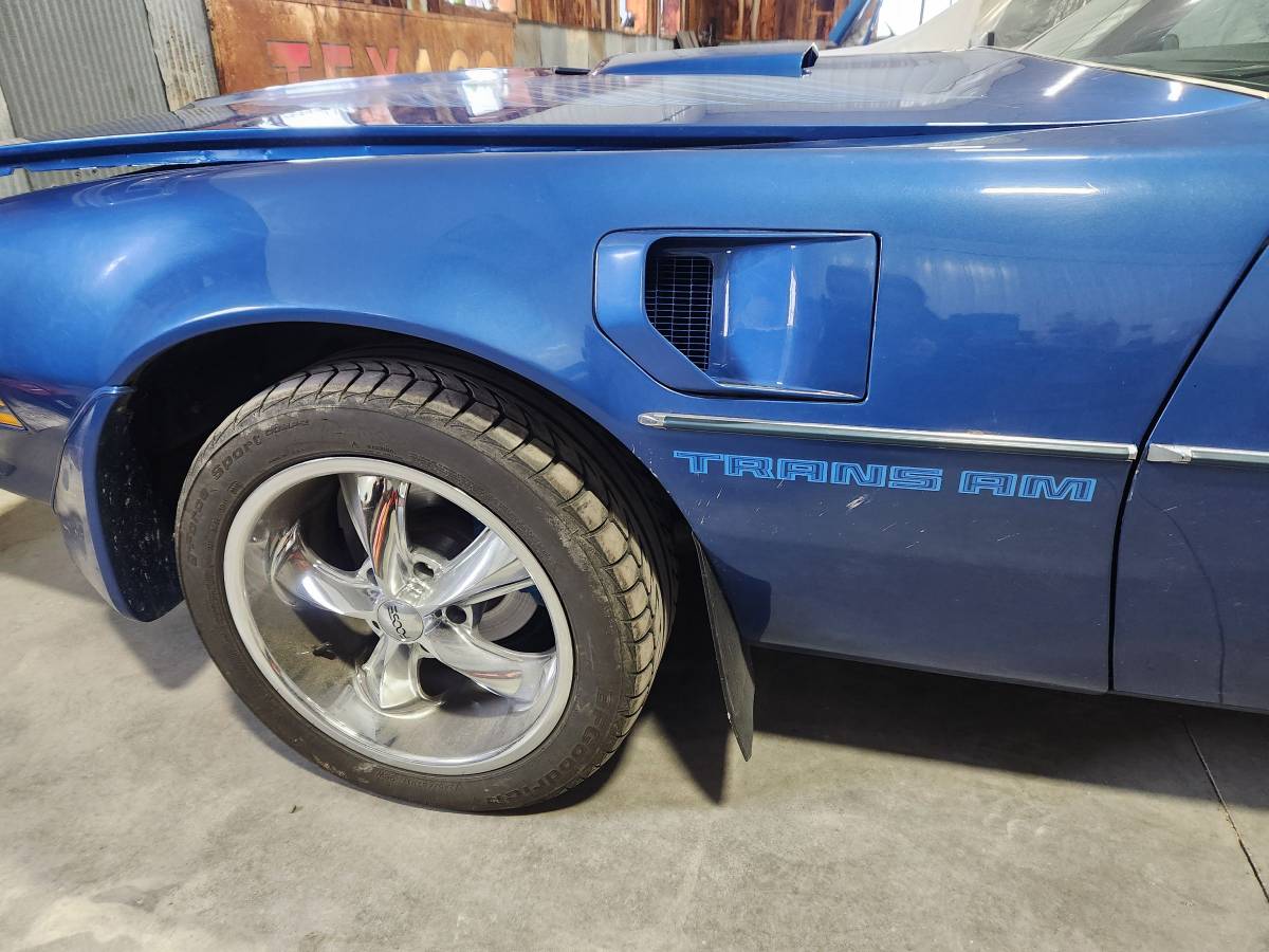 Pontiac-Trans-am-1981-blue-148059-8