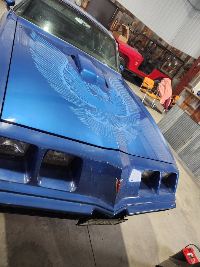 Pontiac-Trans-am-1981-blue-148059