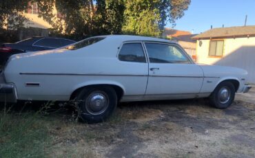 Pontiac-Ventura-Coupe-1974-White-Brown-130357-1