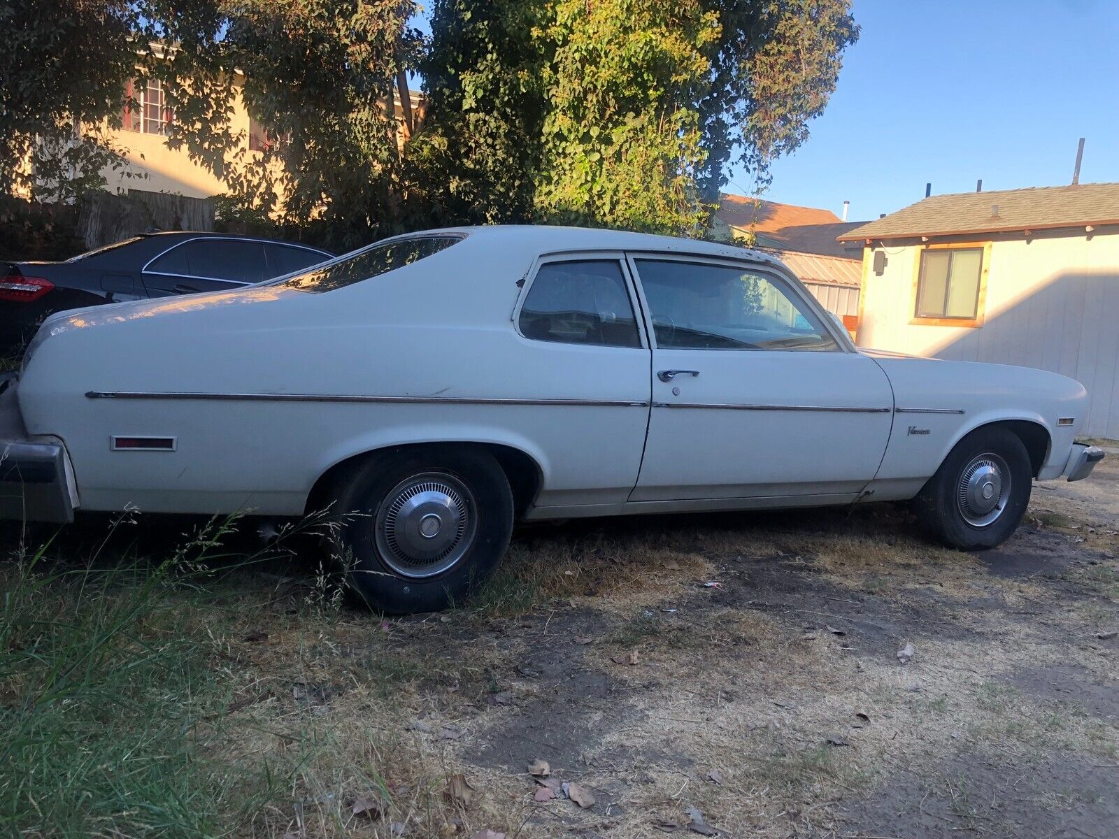 Pontiac-Ventura-Coupe-1974-White-Brown-130357-1