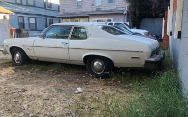 Pontiac-Ventura-Coupe-1974-White-Brown-130357-2