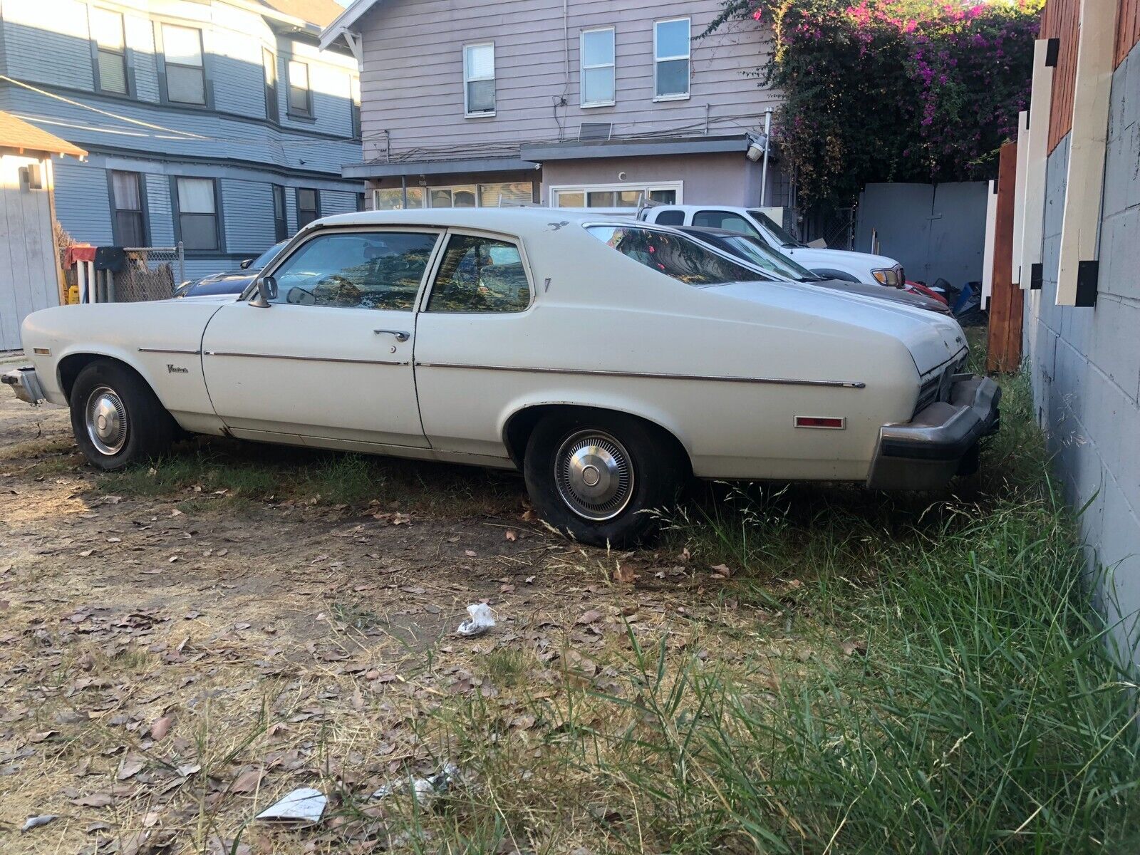 Pontiac-Ventura-Coupe-1974-White-Brown-130357-2