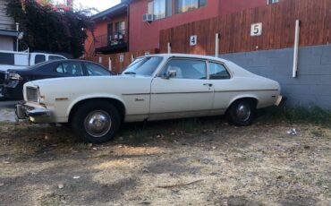 Pontiac-Ventura-Coupe-1974-White-Brown-130357-3