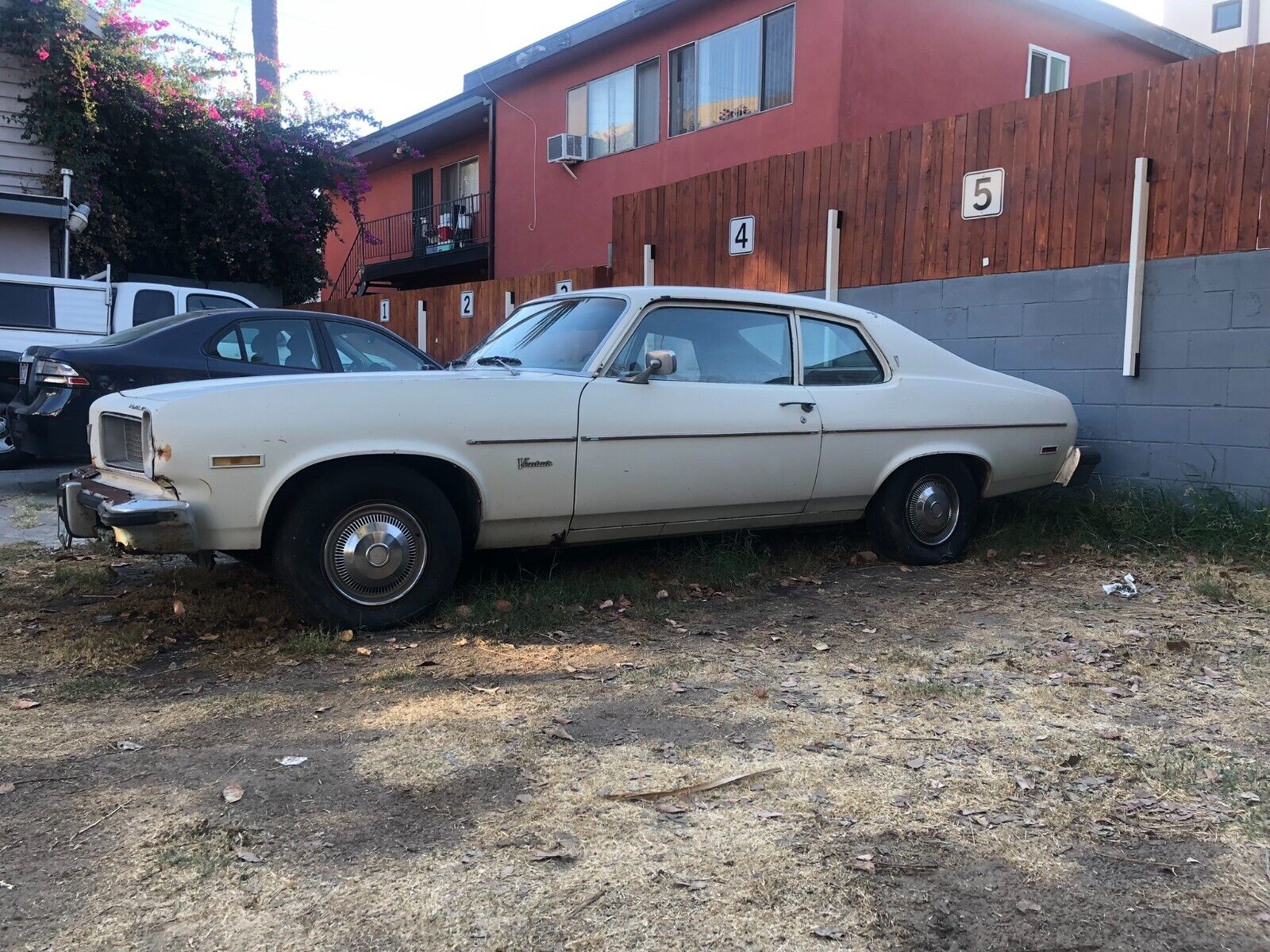 Pontiac-Ventura-Coupe-1974-White-Brown-130357-3