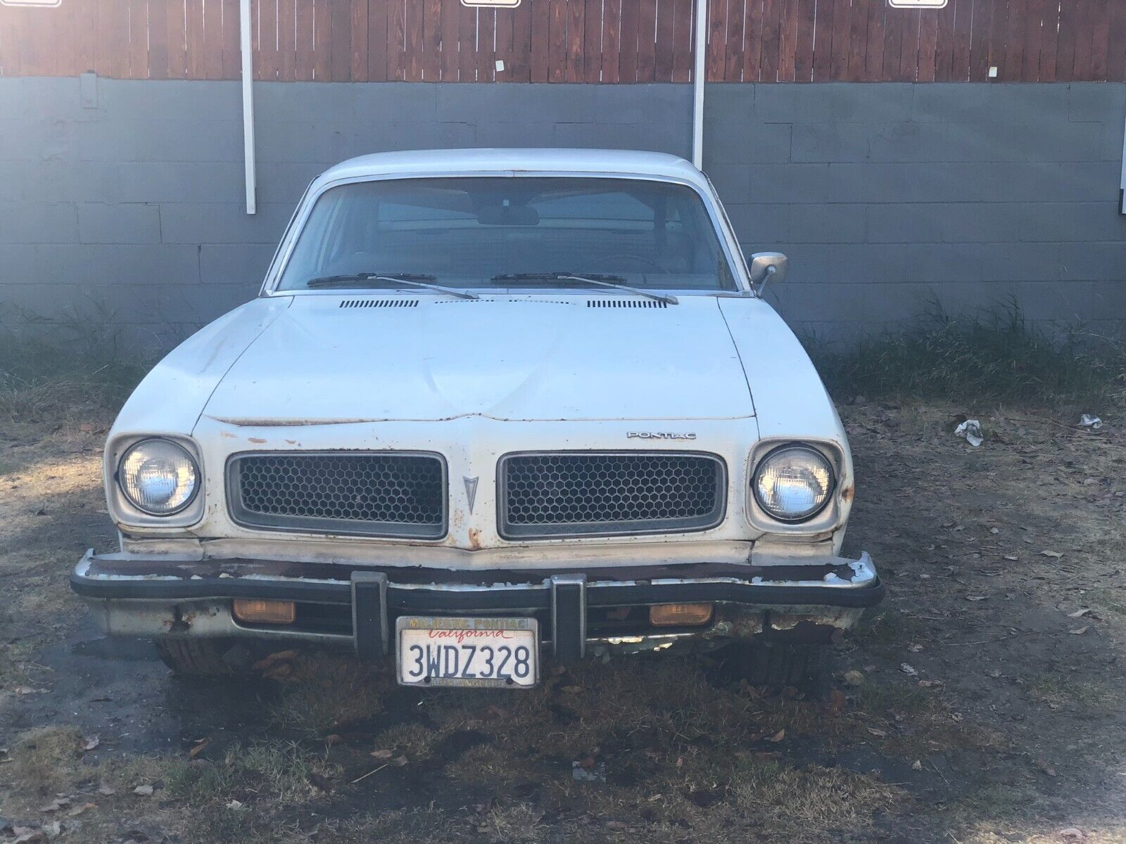 Pontiac-Ventura-Coupe-1974-White-Brown-130357-5