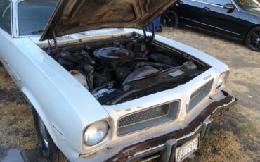 Pontiac-Ventura-Coupe-1974-White-Brown-130357-7