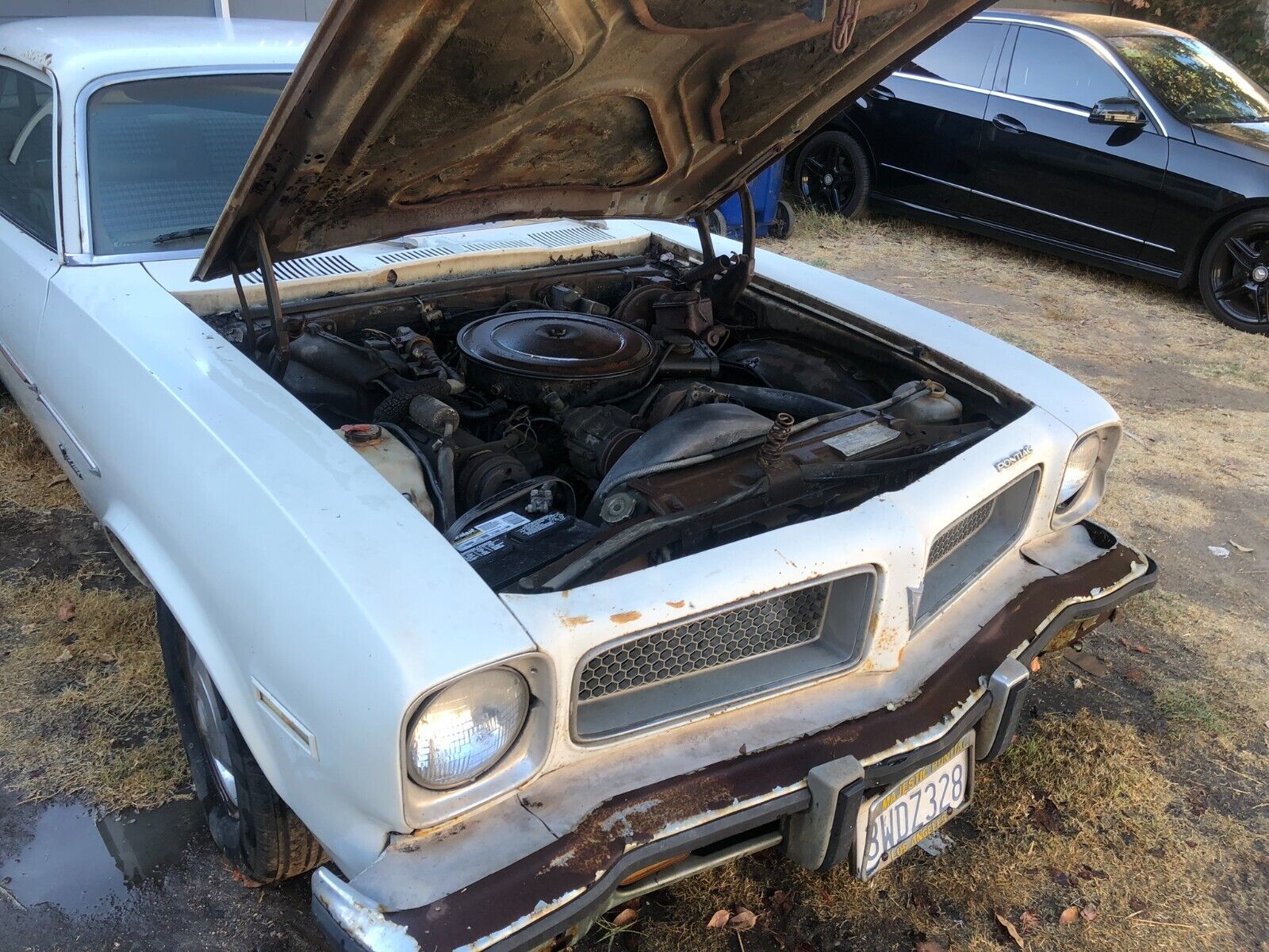 Pontiac-Ventura-Coupe-1974-White-Brown-130357-7