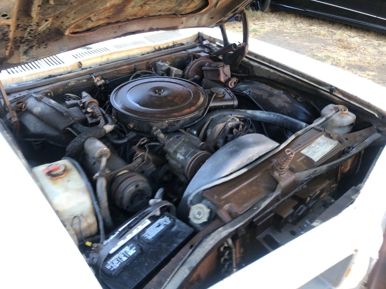 Pontiac-Ventura-Coupe-1974-White-Brown-130357-8