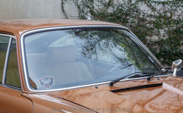 Porsche-911-1972-Brown-Other-Color-0-8