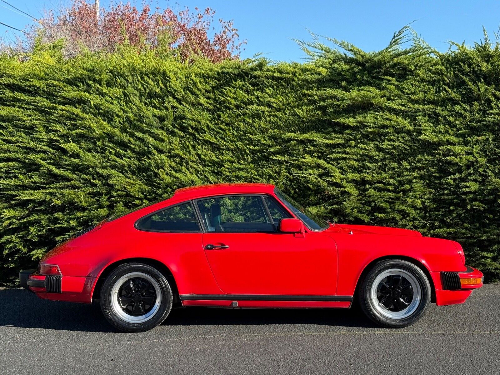 Porsche-911-Coupe-1984-308017-6