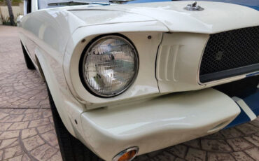 Shelby-GT350-Coupe-1965-White-Black-38656-10