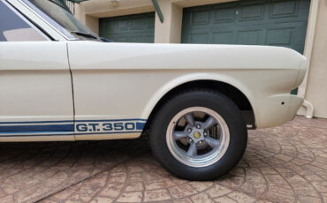 Shelby-GT350-Coupe-1965-White-Black-38656-5