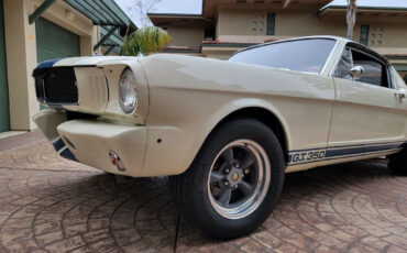 Shelby-GT350-Coupe-1965-White-Black-38656-7