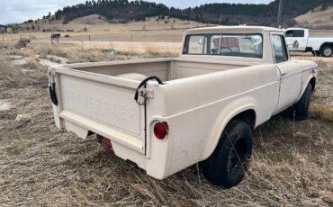 Studebaker-Champion-1962-brown-198683-2