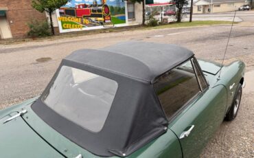 Sunbeam-Tiger-1968-Green-Black-0-29