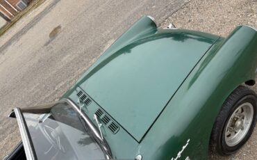 Sunbeam-Tiger-1968-Green-Black-0-36