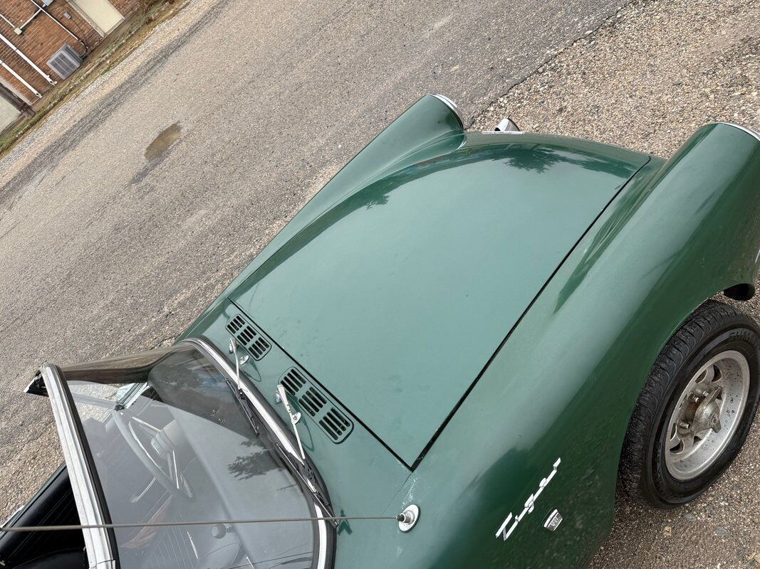 Sunbeam-Tiger-1968-Green-Black-0-36