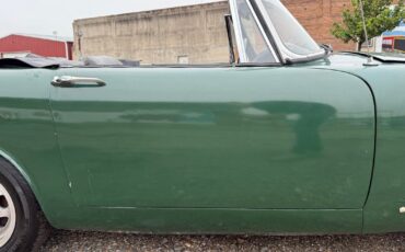 Sunbeam-Tiger-1968-Green-Black-0-37