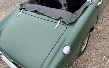 Sunbeam-Tiger-1968-Green-Black-0-39