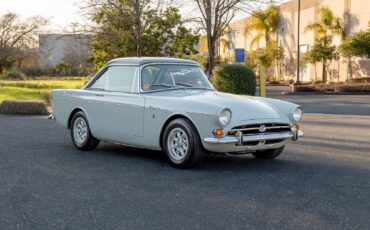 Sunbeam-Tiger-Coupe-1964-balmoral-grey-Blue-131966-11