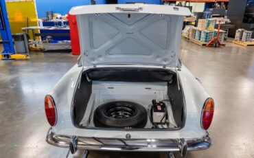 Sunbeam-Tiger-Coupe-1964-balmoral-grey-Blue-131966-23