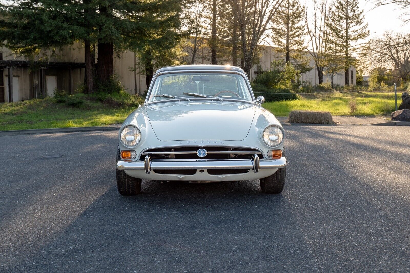 Sunbeam-Tiger-Coupe-1964-balmoral-grey-Blue-131966-4