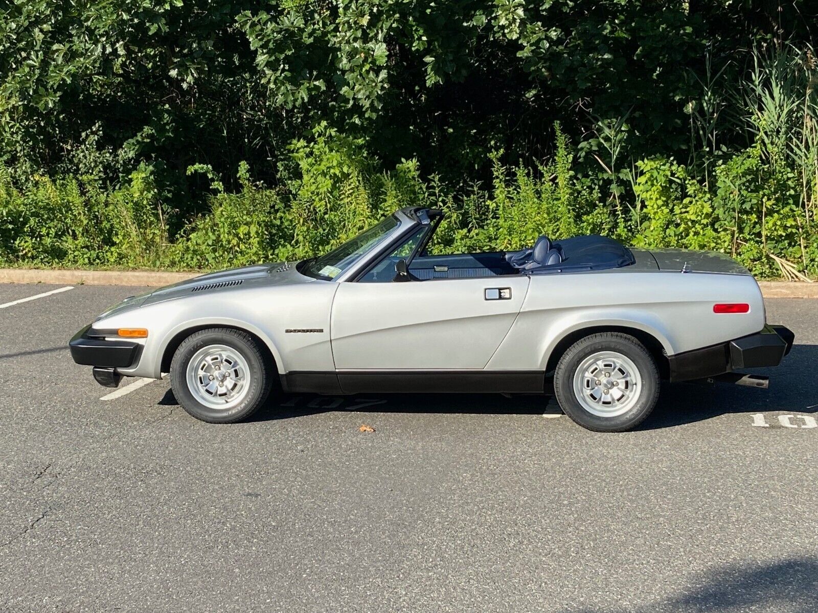 Triumph-Other-Cabriolet-1981-Silver-Blue-966-3