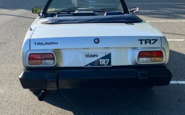 Triumph-Other-Cabriolet-1981-Silver-Blue-966-4