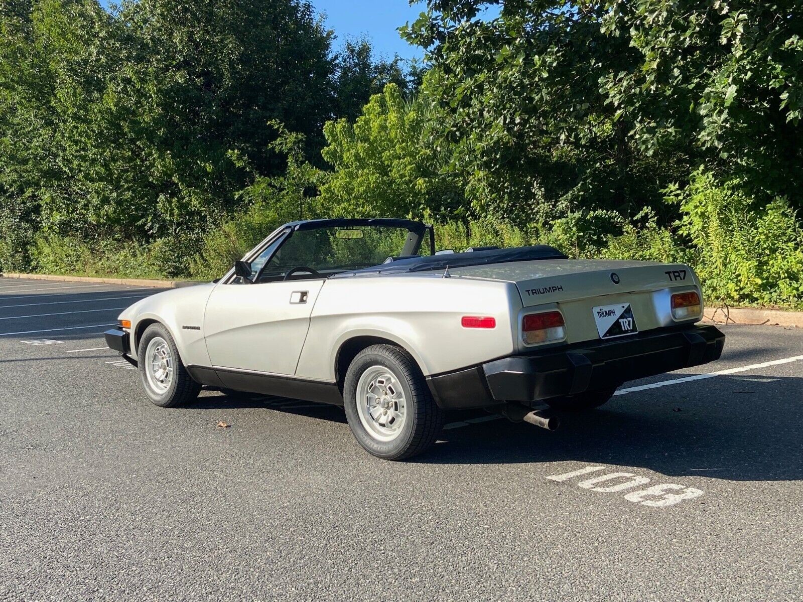 Triumph-Other-Cabriolet-1981-Silver-Blue-966-5