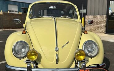 Volkswagen-Beetle-1965-42475-1