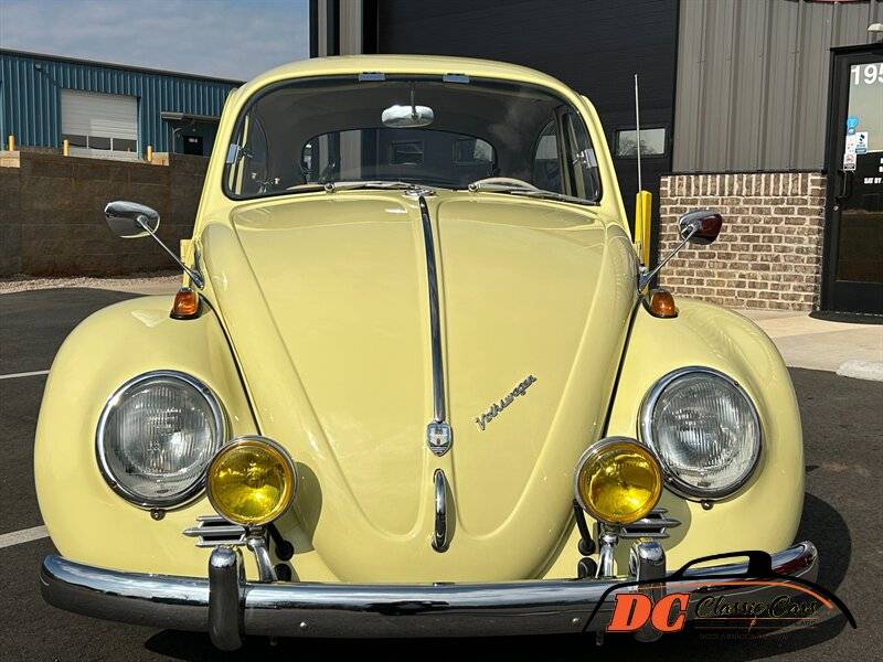 Volkswagen-Beetle-1965-42475-1