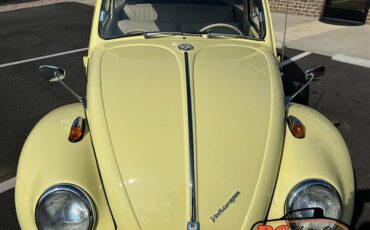 Volkswagen-Beetle-1965-42475-11