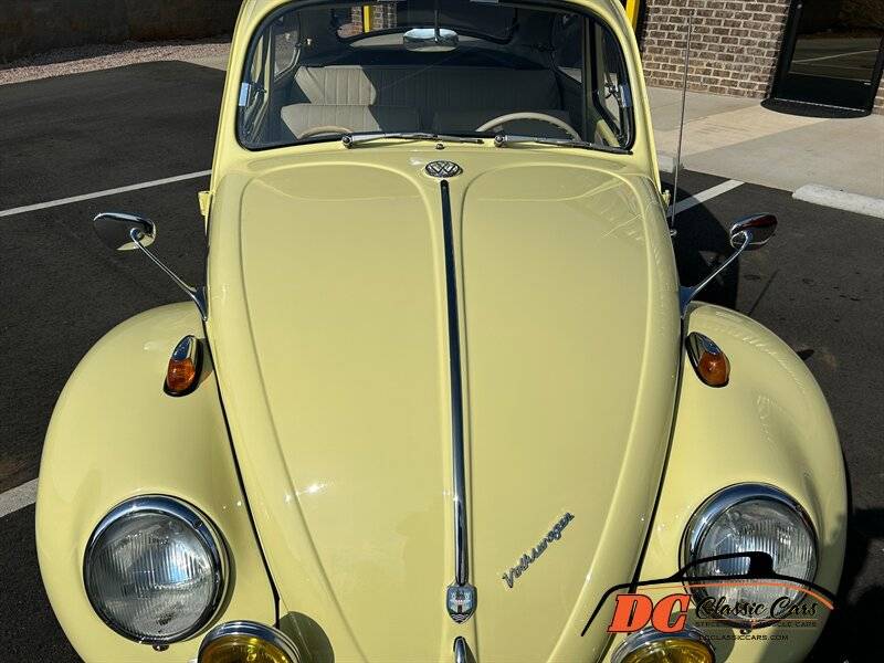 Volkswagen-Beetle-1965-42475-11