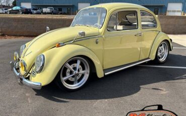 Volkswagen-Beetle-1965-42475-2