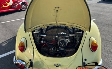 Volkswagen-Beetle-1965-42475-20