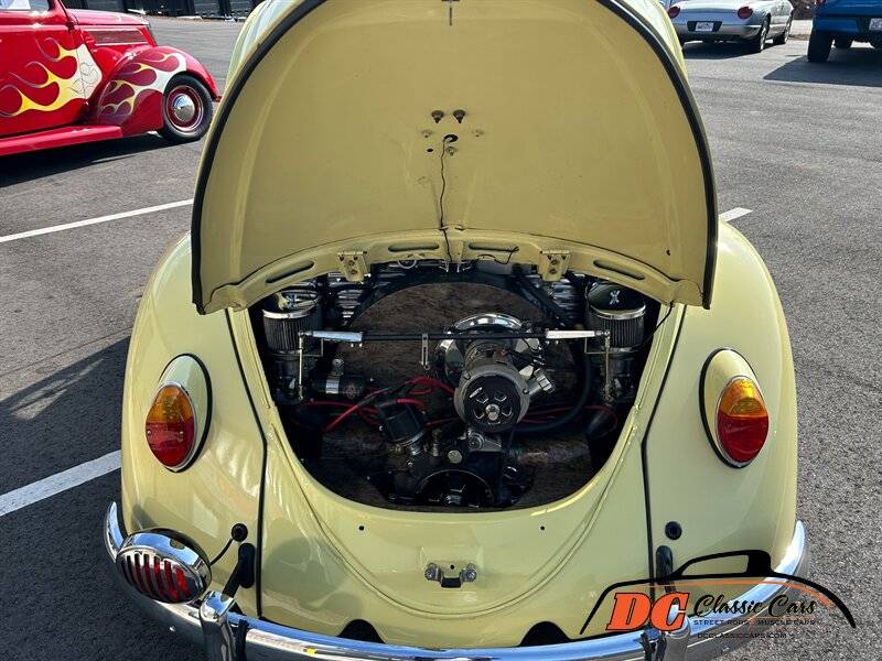 Volkswagen-Beetle-1965-42475-20