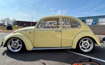 Volkswagen-Beetle-1965-42475-3