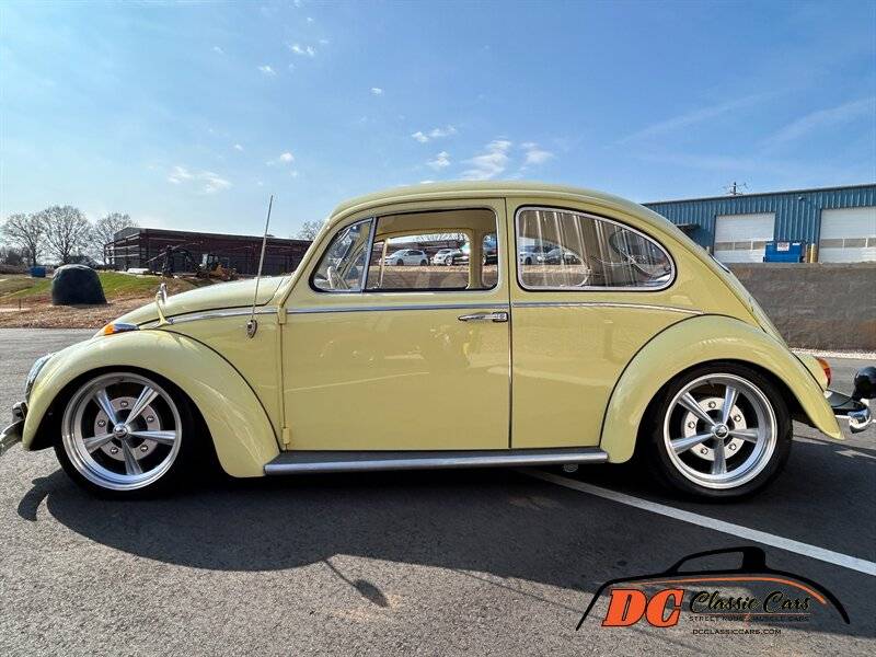 Volkswagen-Beetle-1965-42475-3